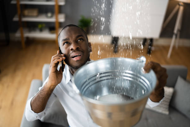 Carpet water damage restoration in MN