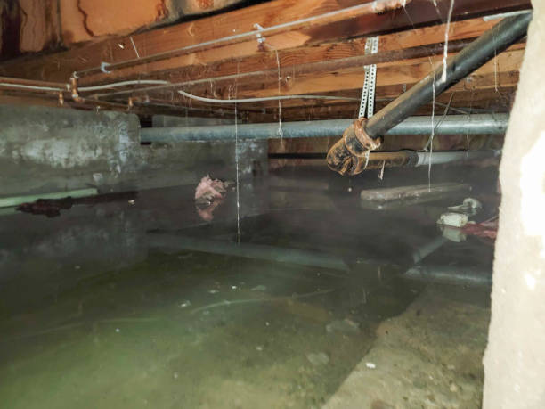 Best Flooded house restoration  in Hermantown, MN