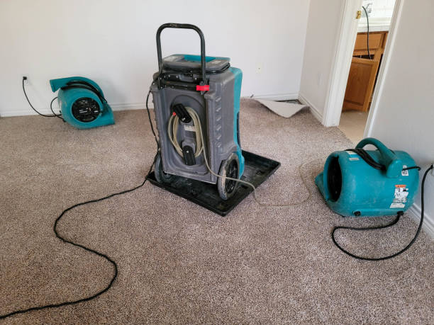 Best Carpet water damage restoration  in Hermantown, MN