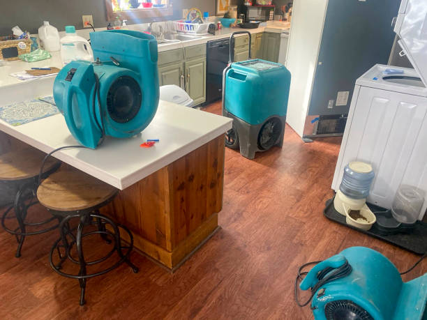 Best Water damage contractors near me  in Hermantown, MN