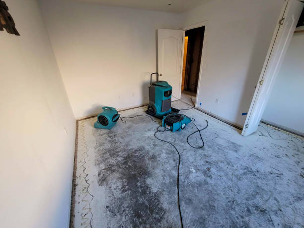 Best Flood damage cleanup  in Hermantown, MN