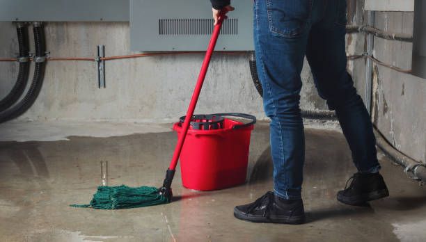 Best Mold removal after water damage  in Hermantown, MN