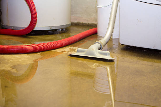 Best Water damage restoration near me  in Hermantown, MN