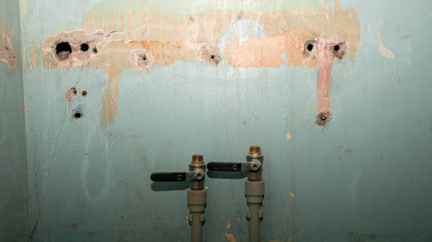 Best Local water damage restoration  in Hermantown, MN