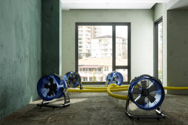 Best Emergency water damage restoration  in Hermantown, MN